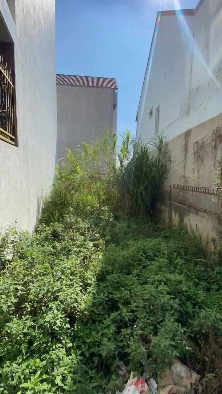 Cần tiền Bán gấp Lô Đất XD gần trung tâm đường Phù Đổng Thiên Vương, Đà Lạt giá 8.7 tỷ -> 7.2 tỷ - Ảnh chính